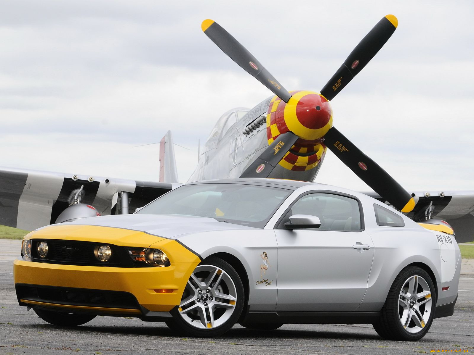 , mustang